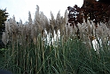 Parco Europa Autunno_020